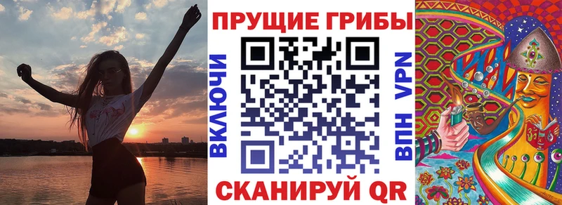 Псилоцибиновые грибы Psilocybe Бирюч